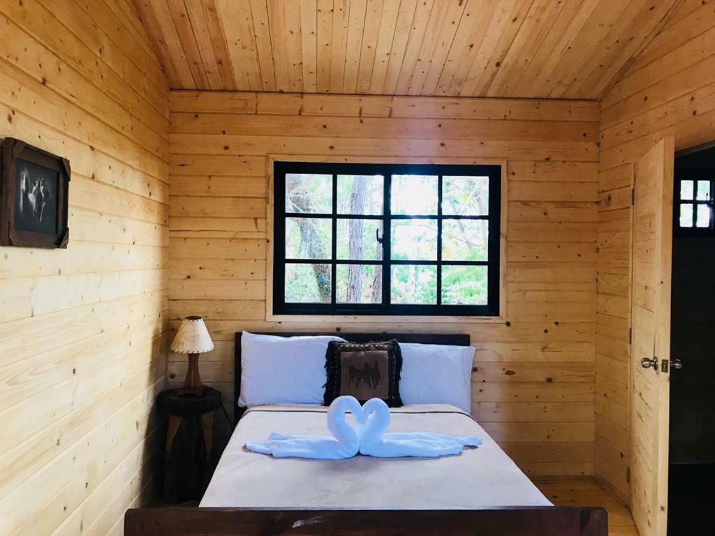 Casa De Arbol, Rancho Tierra Alta 호텔 자라바코아 외부 사진