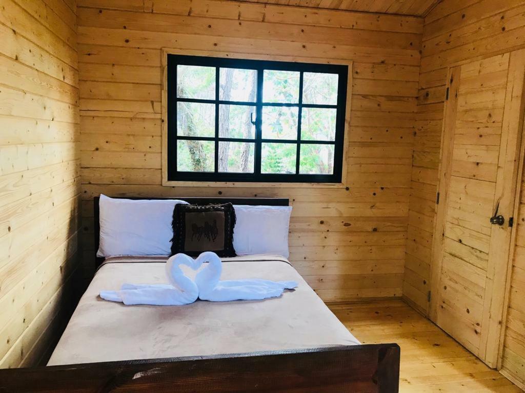 Casa De Arbol, Rancho Tierra Alta 호텔 자라바코아 외부 사진