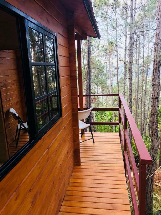 Casa De Arbol, Rancho Tierra Alta 호텔 자라바코아 외부 사진